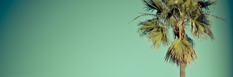 kulturekick's profile banner image