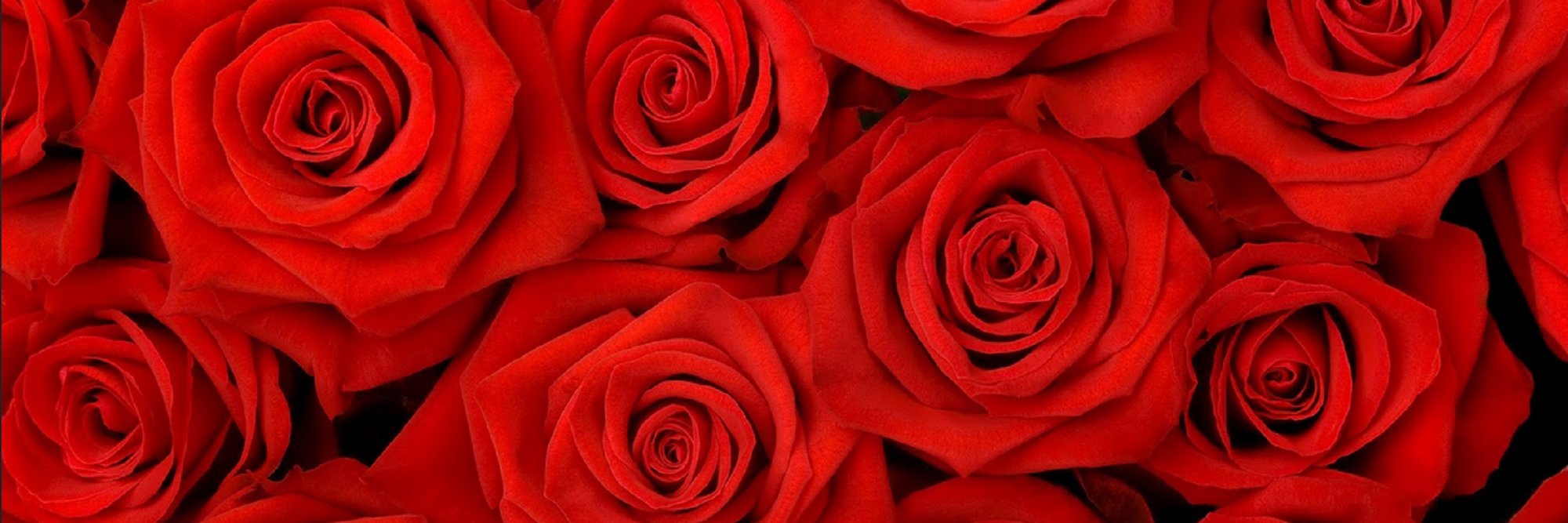 RilkeRainer banner