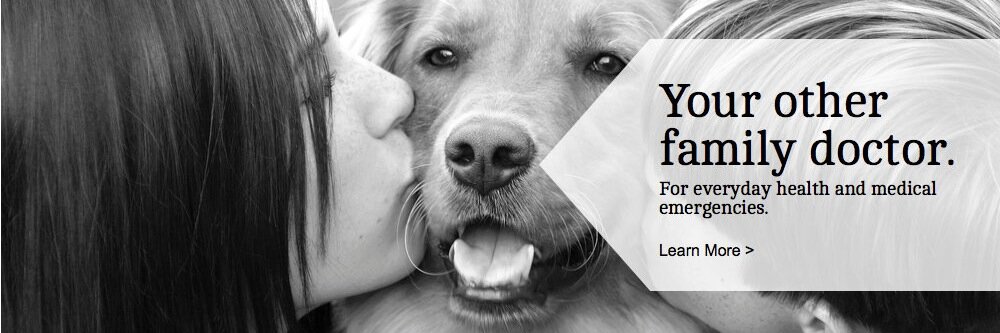 Halifaxvets's profile banner image