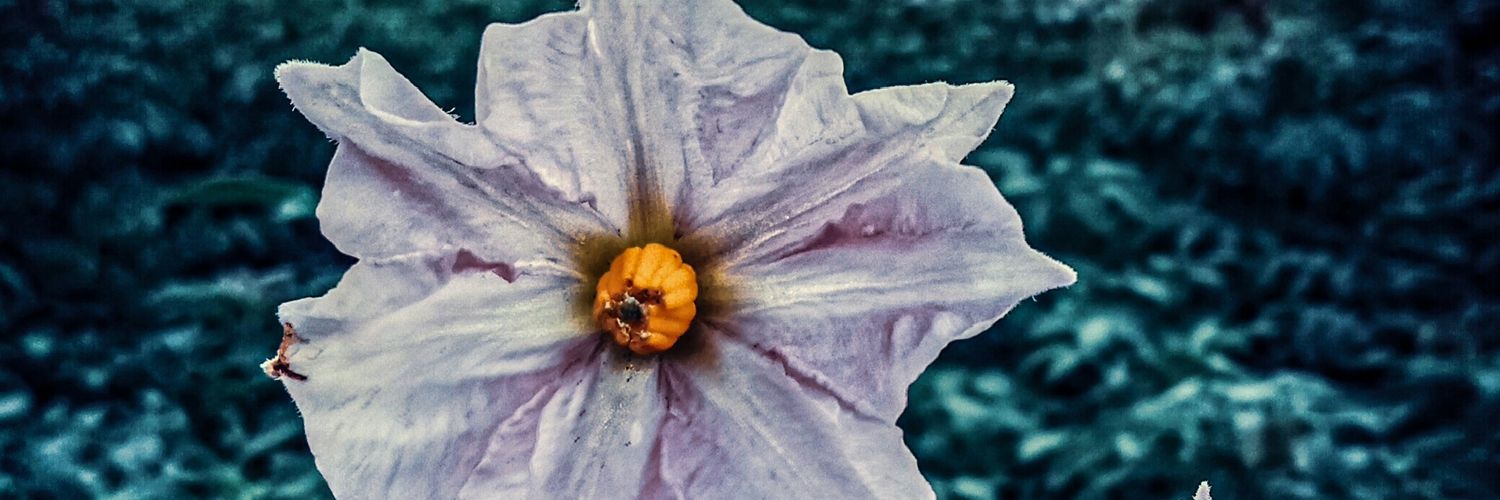 MaryashleyK's profile banner image