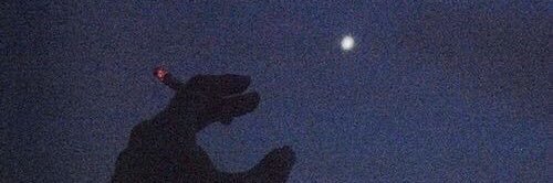 andre. banner