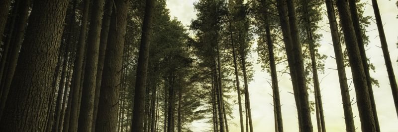 bykov_nikolay's profile banner image