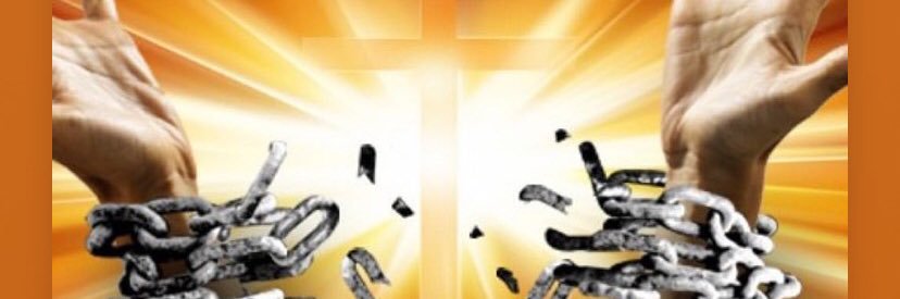 lisaldanaz's profile banner image