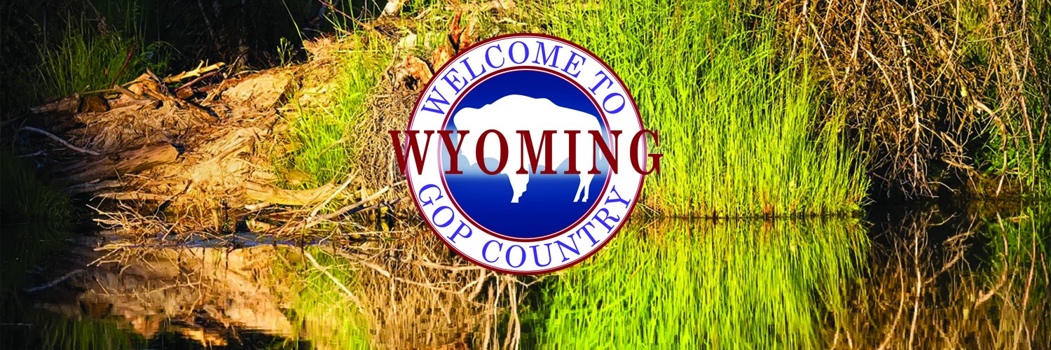 WYGOP's profile banner image