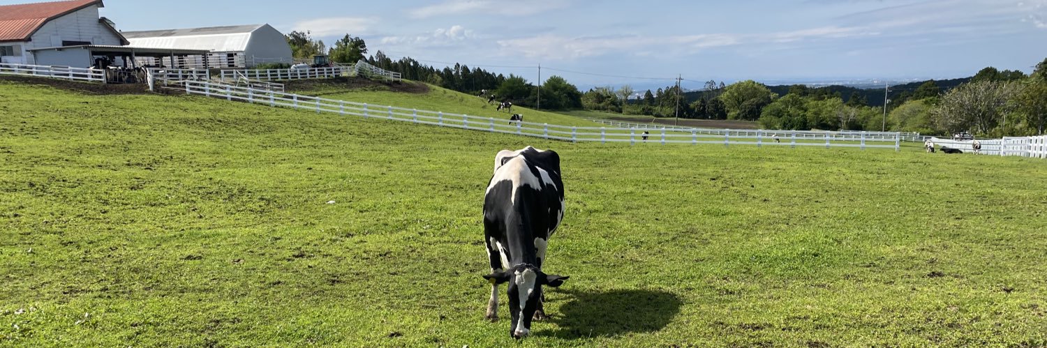 moo1126's profile banner image