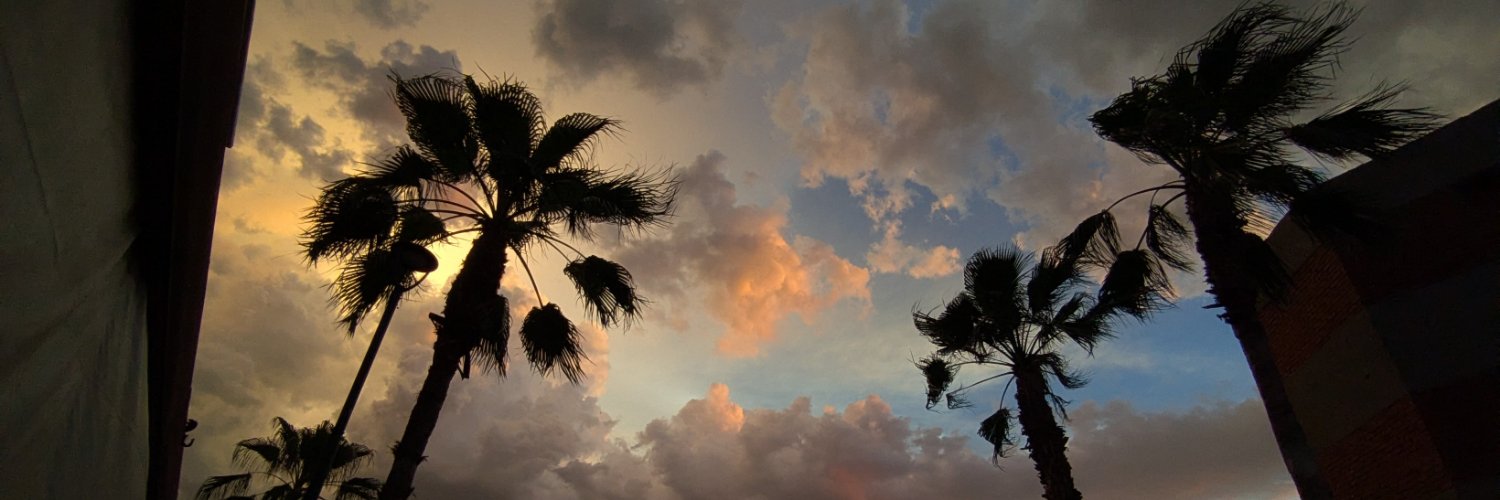 _chriss_zip's profile banner image
