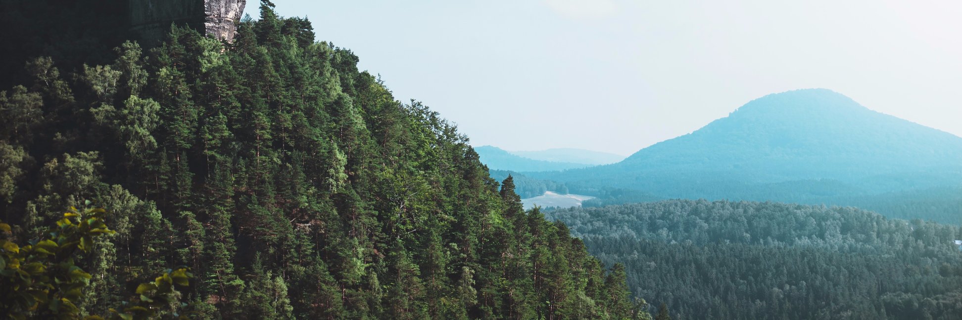 xshishkin's profile banner image