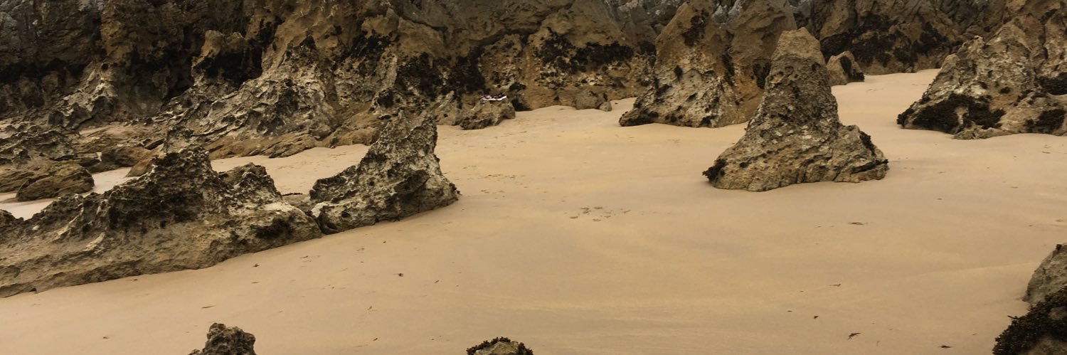 AthenaBrave's profile banner image