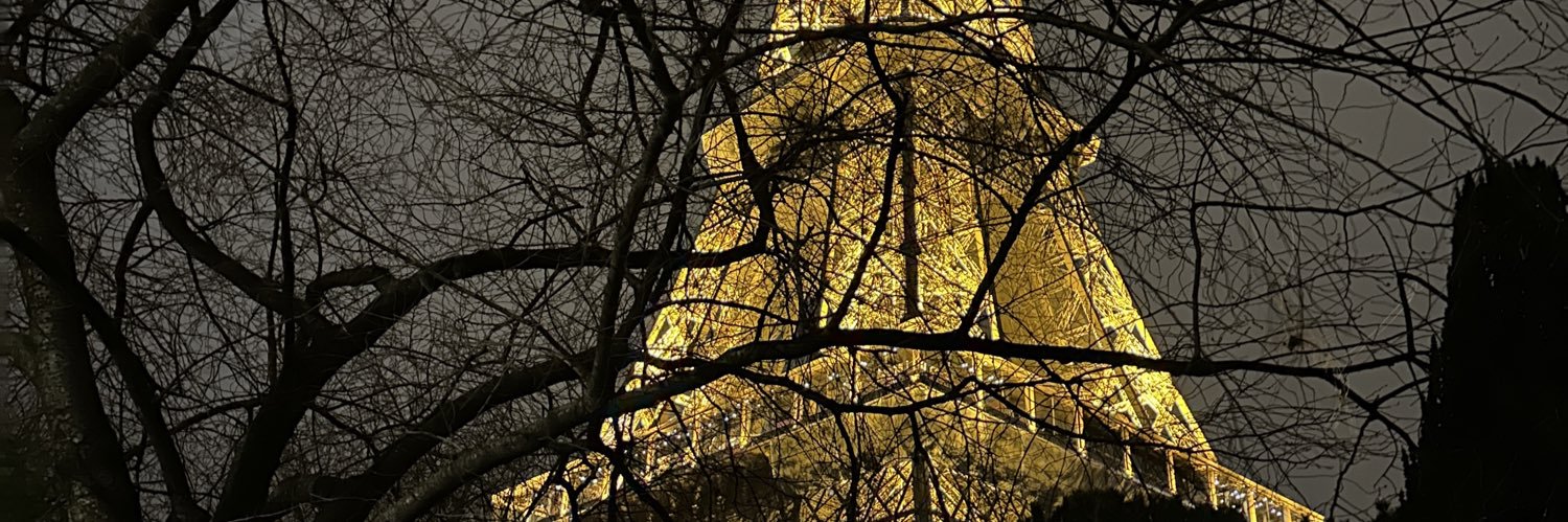 Zédow95 banner