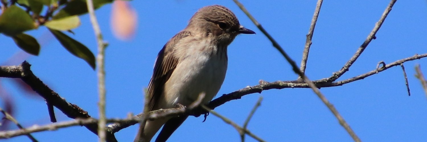 Friends of Wildern Local Nature Reserve banner
