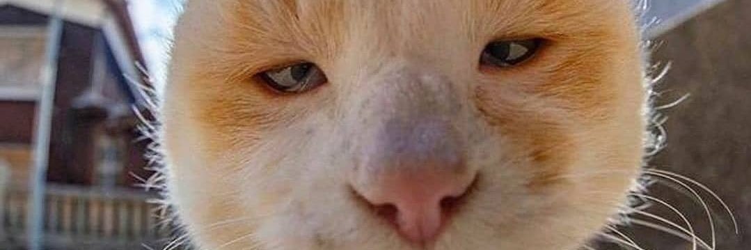 roszaiman_'s profile banner image