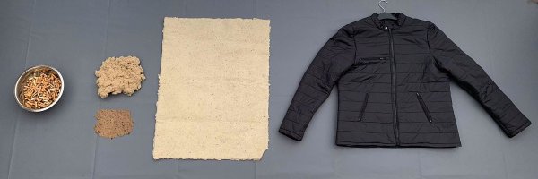 TchaoMegot Profile Banner