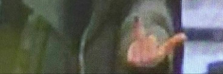 _afcbxm's profile banner image