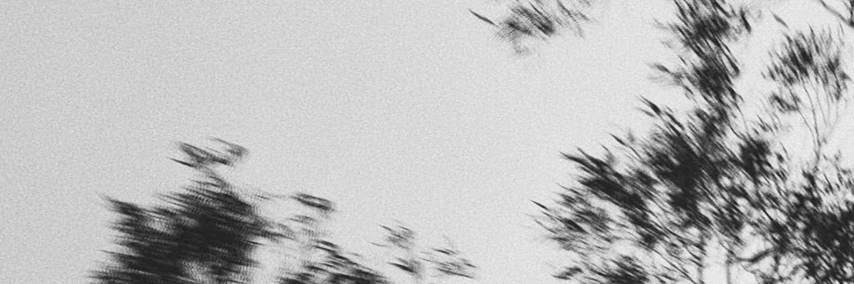 Txufo Wilson banner