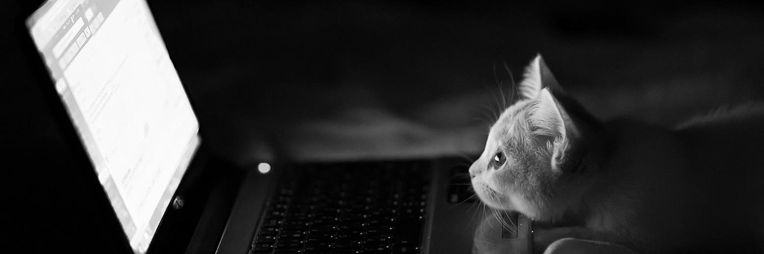 Housze's profile banner image