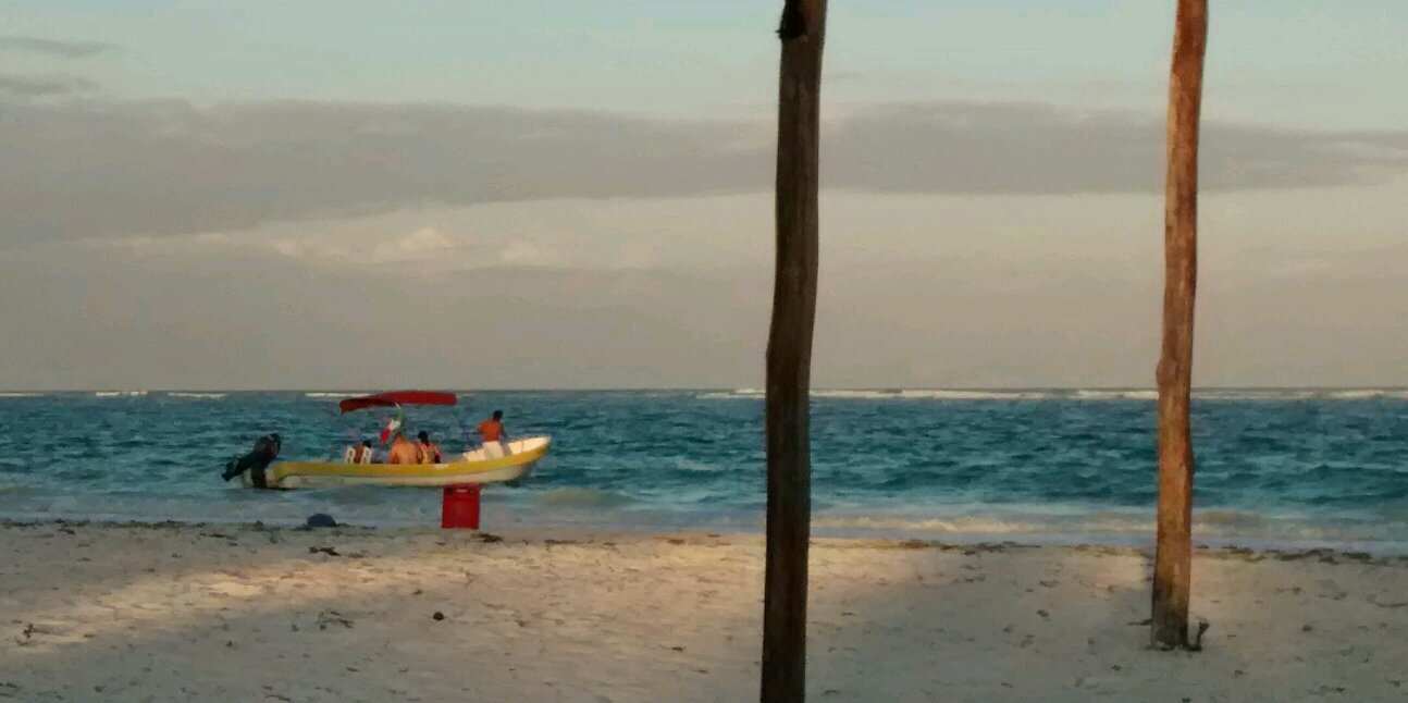 liceatheman's profile banner image