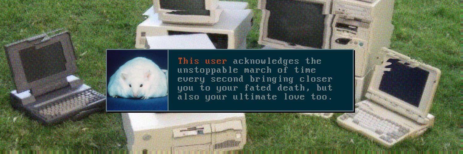 the duality of sergey banner