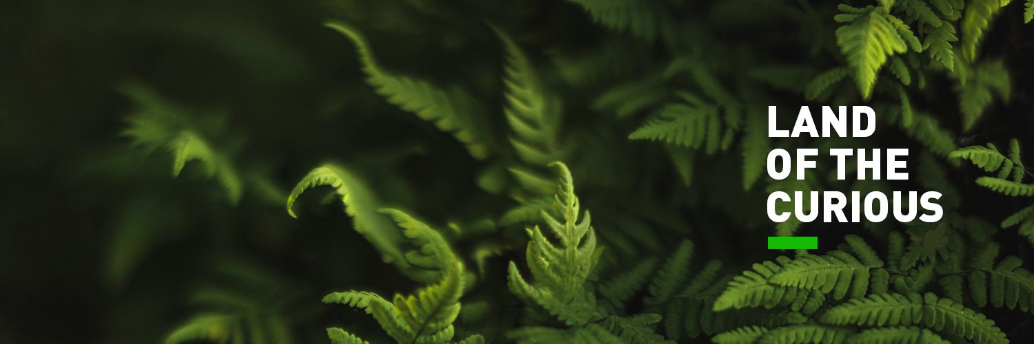 LUT University 🚀 banner