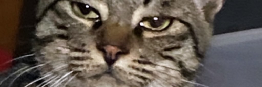 ota_ta_705's profile banner image