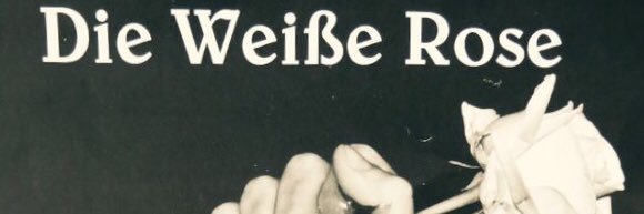 Wim Van Dooren banner