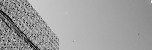 DemetraG6 Profile Banner