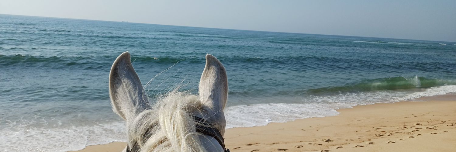 ceaseless watcher 👁️‍🗨️🏳️‍🌈 banner