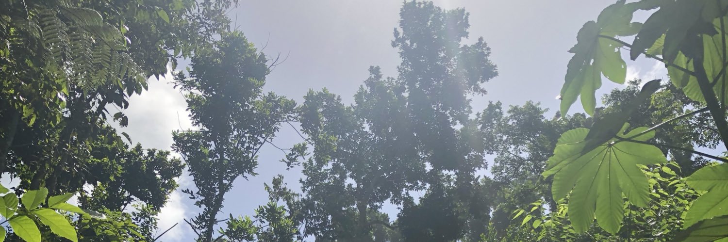 perolikegabby's profile banner image