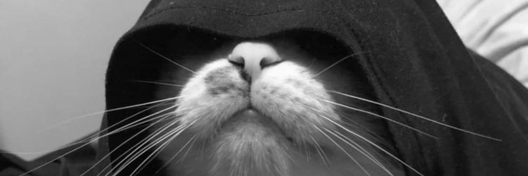 𝓐𝓭𝓻𝔂 ❤ banner