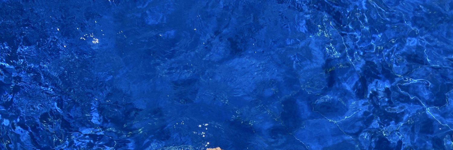 AstridCrs5's profile banner image