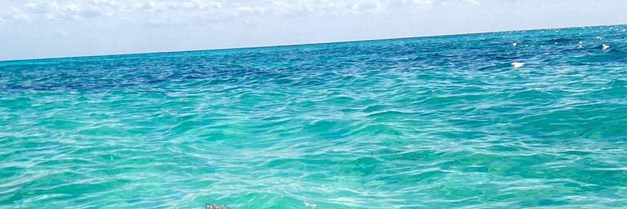 JsilvaJeff's profile banner image