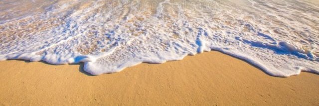 Valerie Thorne banner