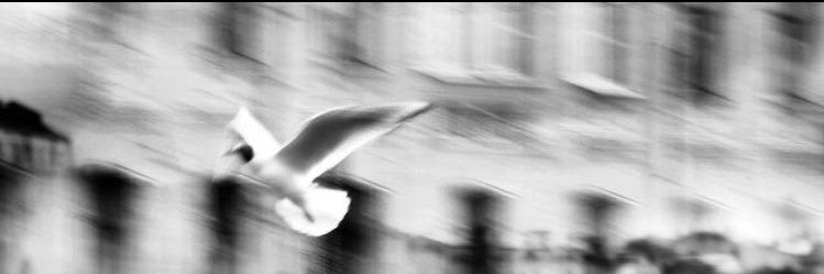 Touché🖊️ banner