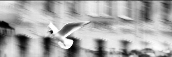 _Touche Profile Banner