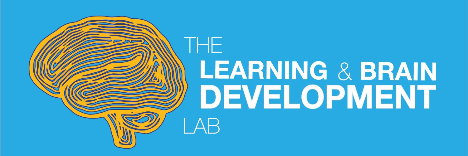 Learning and Brain Development Lab's banner