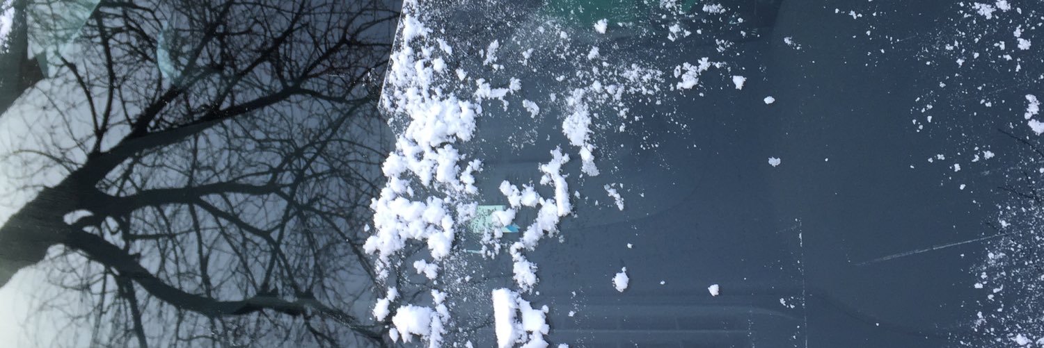 MaaikeUtr's profile banner image