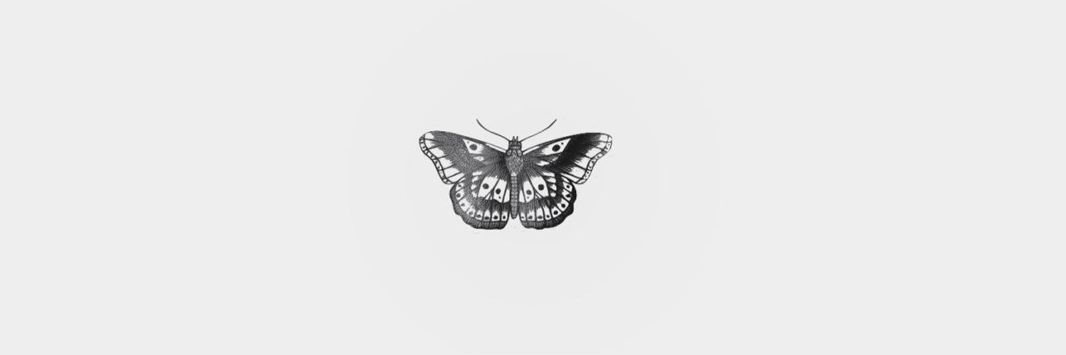 haileybv13's profile banner image