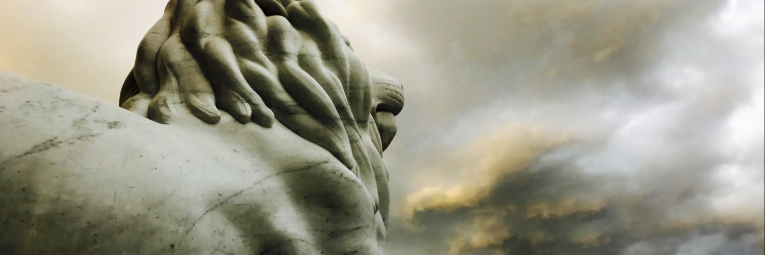 jaceyskinner's profile banner image
