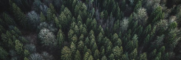 IZenzin Profile Banner