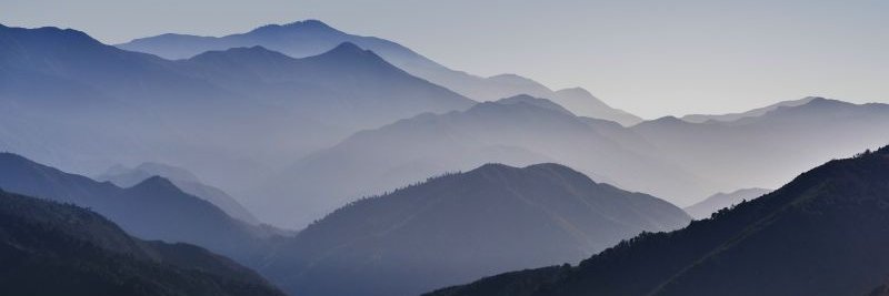 Александра Ведрюльн banner