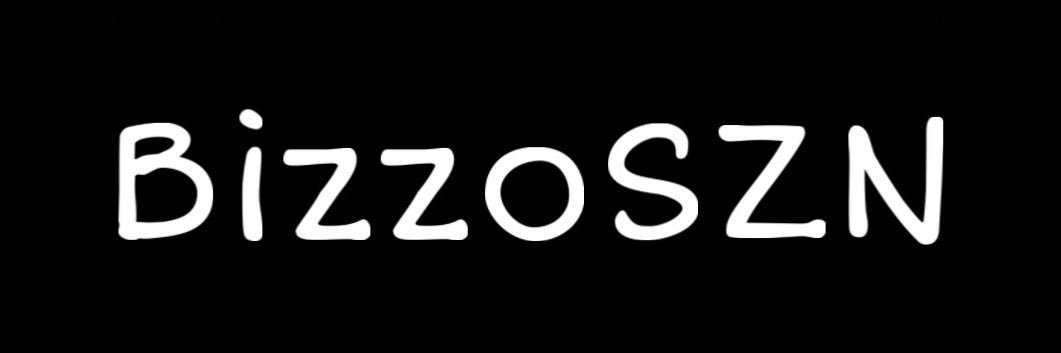 Bizzo 🥊🎒 banner