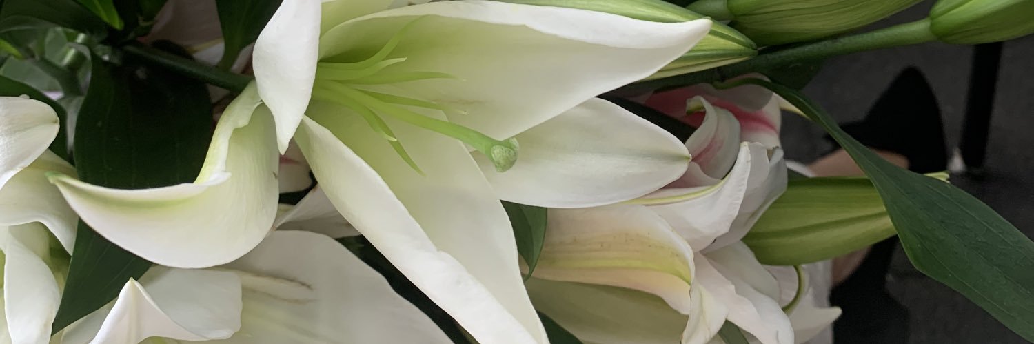 ayube3's profile banner image