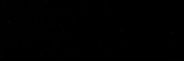 Breion0 Profile Banner