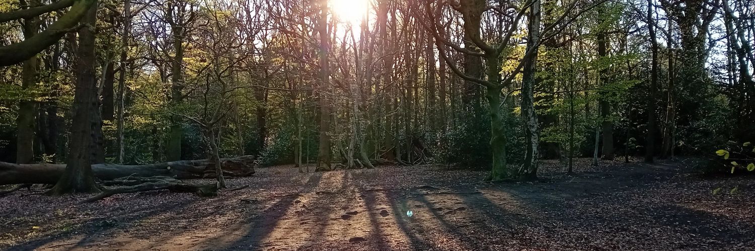 Sophie MacWhannell banner