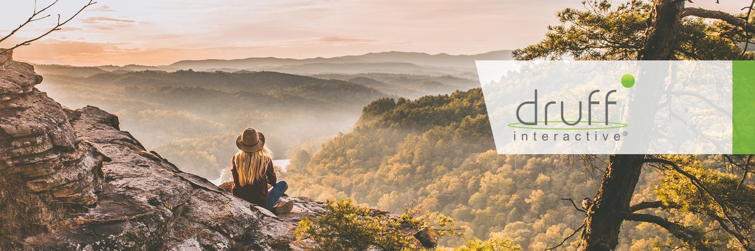 Druff Interactive banner