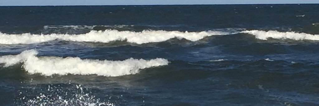 Jennifer Gregg banner