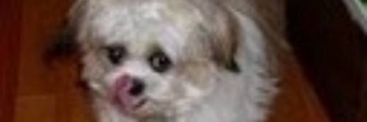 jessielbarton's profile banner image