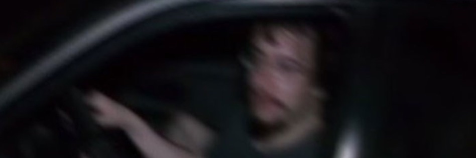 Average Sea Otter banner