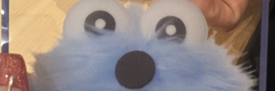 syunpichi's profile banner image