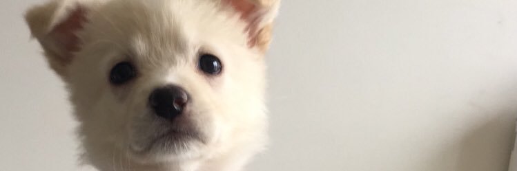 MugeeO's profile banner image