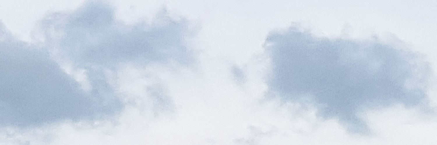 Terri Niven banner